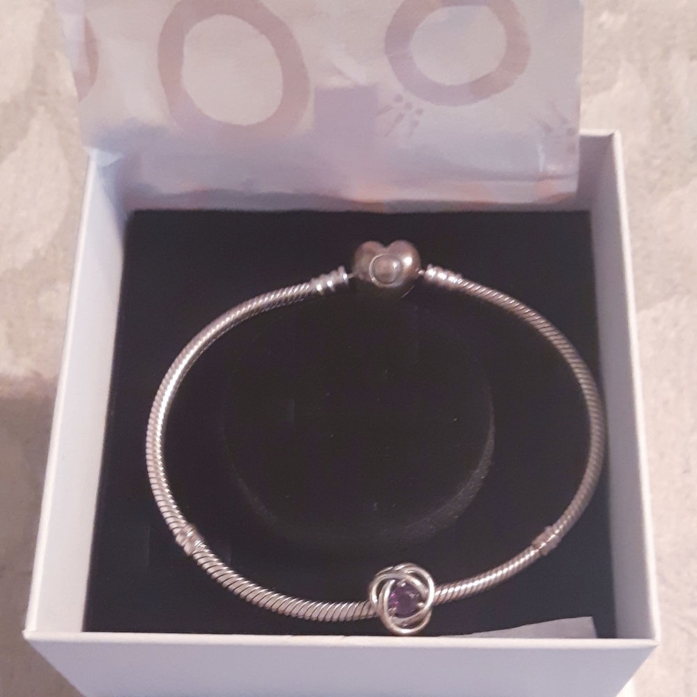 Pandora Bracelet